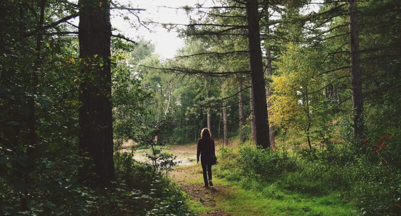 ¿Por qué pensamos mejor cuando caminamos?