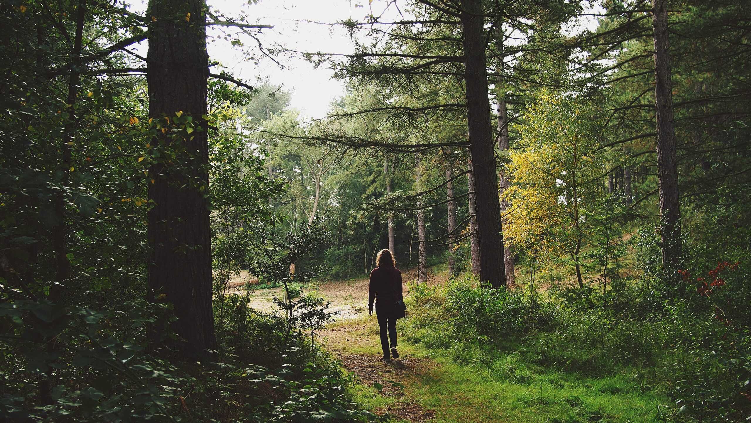 featured_image
