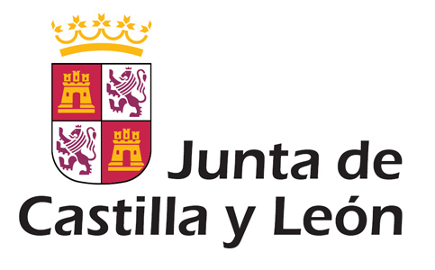 junta castilla y León